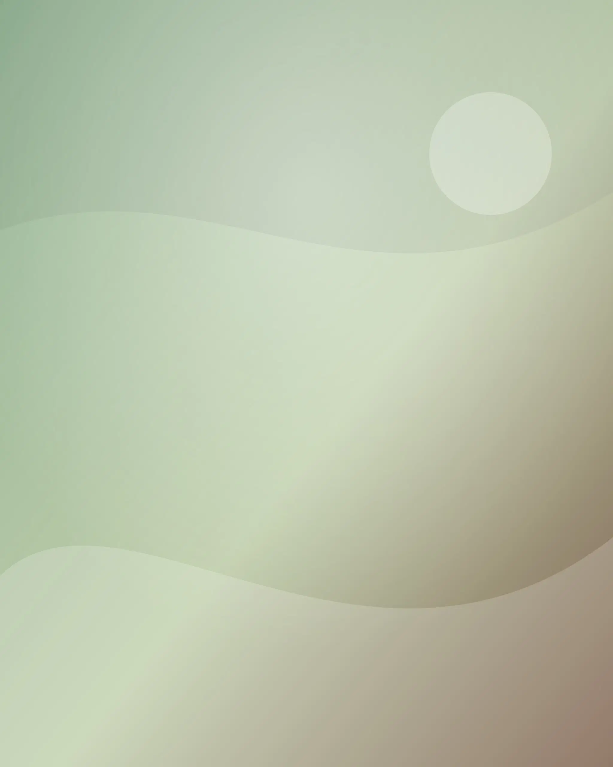 Garden After Rain - Primary